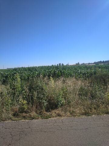 imagen 1 de Venta de finca de regadío en Calvarrasa de abajo (Salamanca)