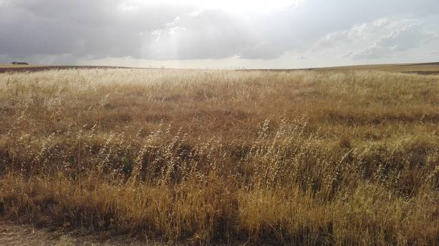 imagen 1 de Venta de parcela rústica en Turra de Alba (Salamanca)