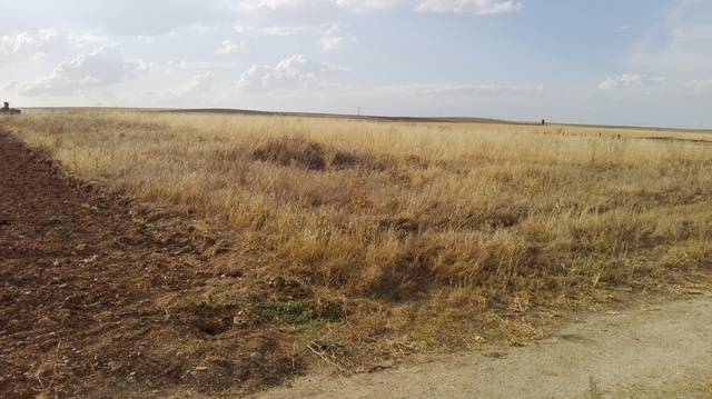 imagen 1 de Venta de parcela rústica en Turra de Alba (Salamanca)