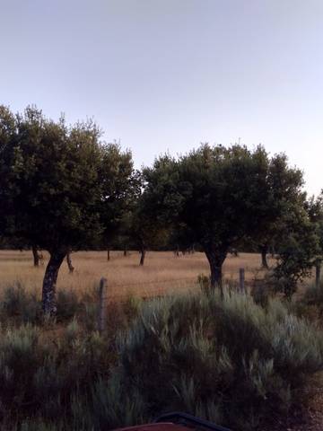 imagen 1 de Venta de finca de gran extensión en Ciudad Rodrigo