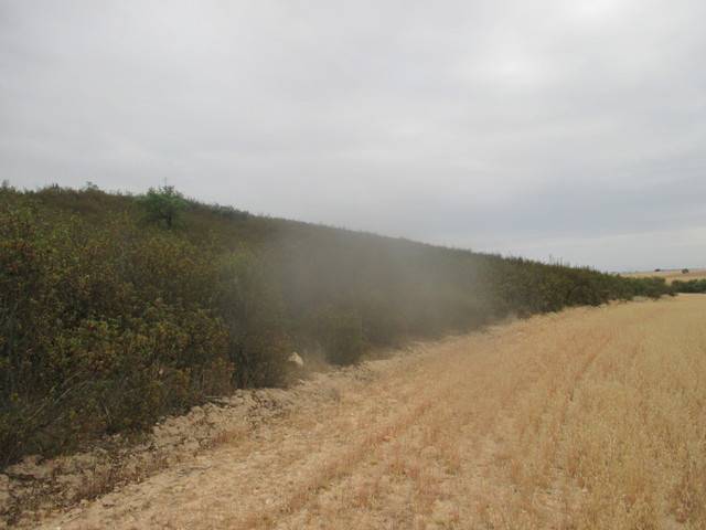 imagen 1 de Venta de finca en Ledesma (Salamanca)