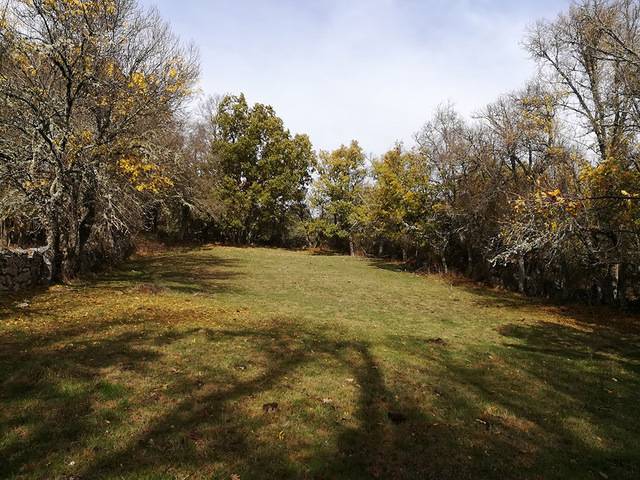 imagen 1 de Venta de varias fincas en Sorihuela (Salamanca)