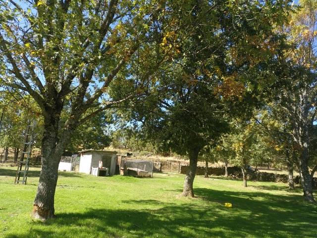 imagen 1 de Venta de finca con casa y piscina en Béjar (Salamanca)