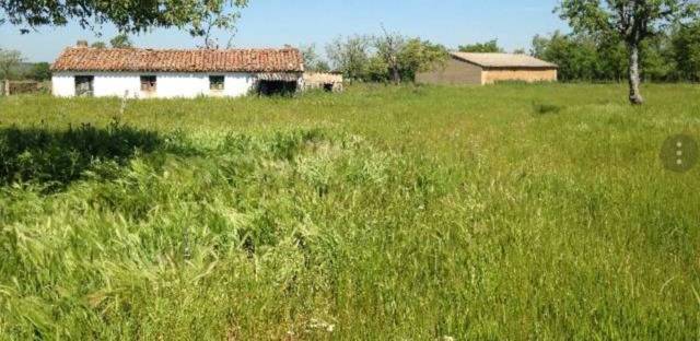 imagen 1 de Venta de finca ganadera en Salamanca