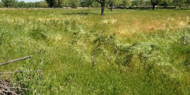 imagen 1 de Venta de finca ganadera en Salamanca