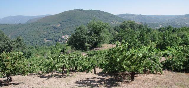 imagen 1 de Venta de finca en Santibañez de la Sierra