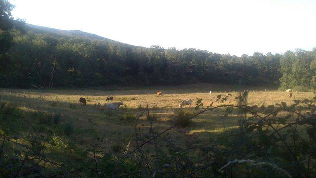 imagen 1 de Venta de finca cerrada en Salamanca