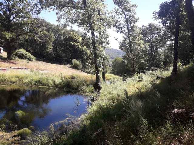 imagen 1 de Venta de finca en plena sierra (Salamanca)