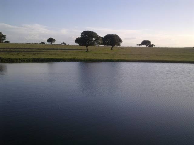 imagen 1 de Venta de finca (Dehesa) cerca de Vecinos