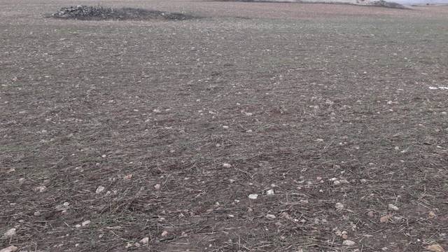 imagen 1 de Venta de finca de labor en Sepúlveda (Segovia)
