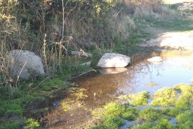 imagen 1 de Venta de parcela ideal para caballos en El Espinar (Segovia)