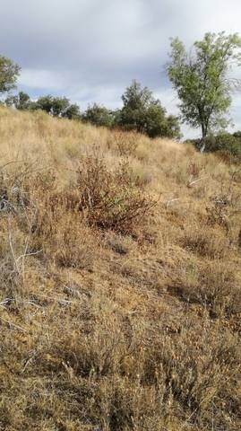 imagen 1 de Venta de finca rústica en Turégano (Segovia)
