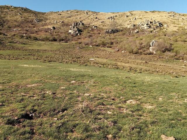 imagen 1 de Venta de finca con buen pasto en El Espinar (Segovia)