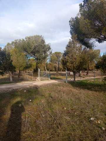 imagen 1 de Venta de finca ganadera y pinar en Cuellar (Segovia)