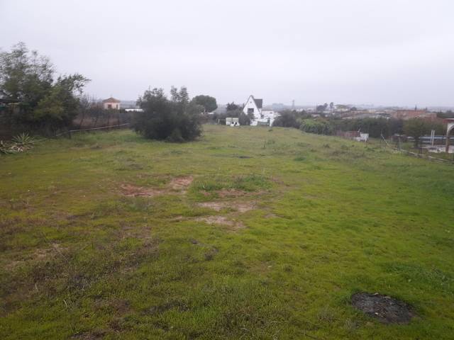 imagen 1 de Venta de parcela en Almensilla (Segovia)