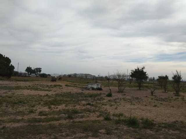 imagen 1 de Venta de finca vallada en Los Palacios (Sevilla)