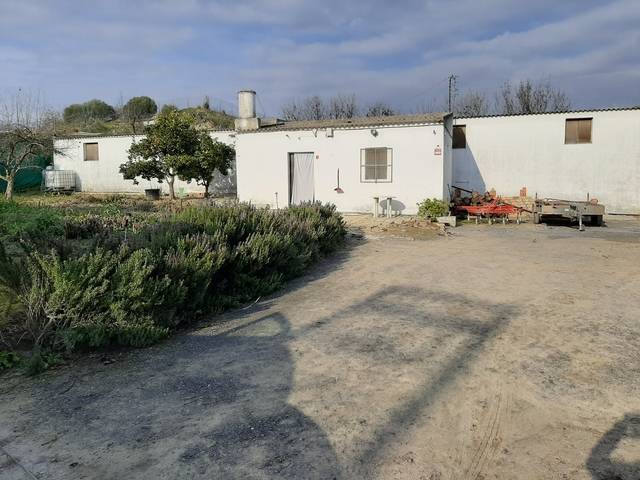 imagen 1 de Venta de finca con nave y olivar en Sevilla