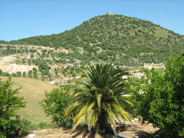 imagen 1 de Venta de fincas con casa, nave y estupendas vistas en Montellano ( Sevilla)