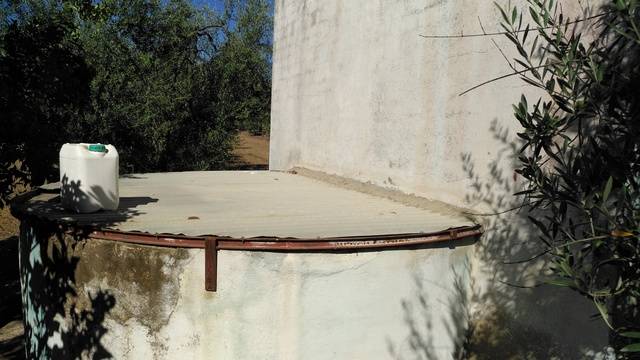 imagen 1 de Venta de finca con olivos en Pilas