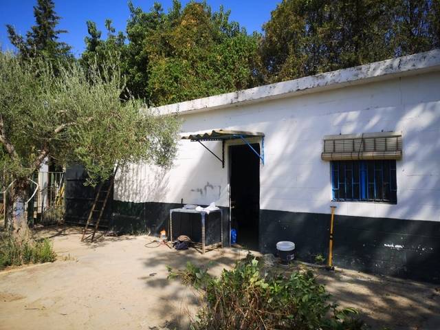 imagen 1 de Venta de finca rústica con nave en Santiponce