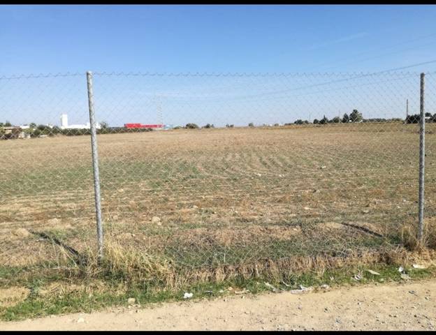 imagen 1 de Venta de finca rústica en La Algaba