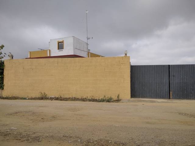 imagen 1 de Venta de parcela vallada en Almensilla (Sevilla)