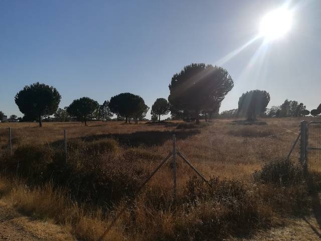 imagen 1 de Venta de finca ideal para instalación hípica en Sevilla