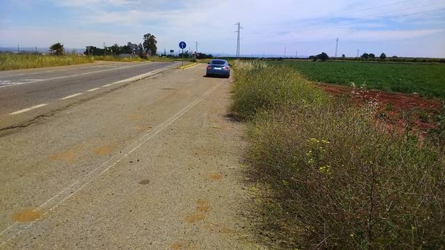 imagen 1 de Venta de finca de regadío y con buen acceso en Brenes