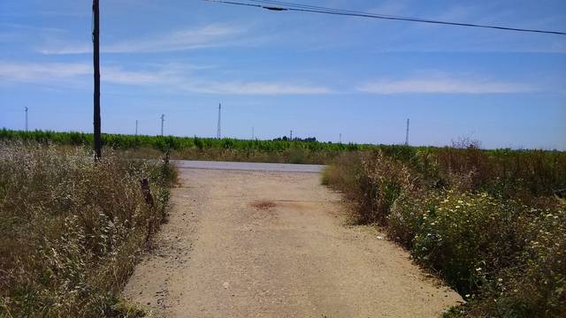 imagen 1 de Venta de finca de regadío en Brenes (Sevilla)