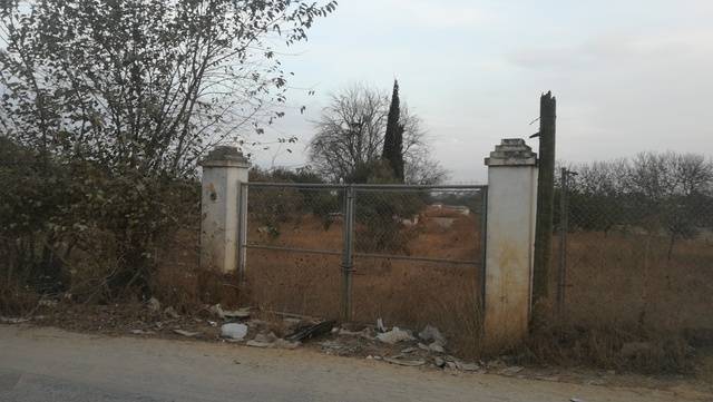 imagen 1 de Venta de finca con olivos en Dos Hermanas