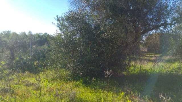 imagen 1 de Venta de parcela en Tomares (Sevilla)