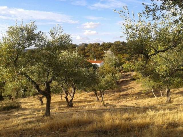 imagen 1 de Venta de finca y casa en Guadalcanal