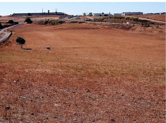 imagen 1 de Venta de finca en Viso del Alcor (Sevilla)
