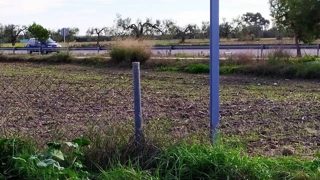 imagen 1 de Venta de finca en Olivares (Sevilla)