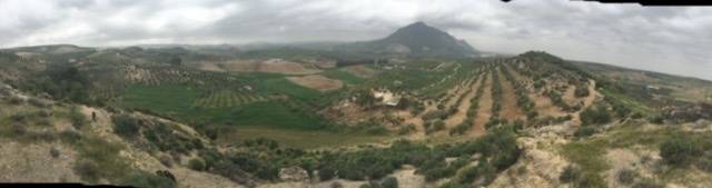 imagen 1 de Venta de finca con casa en Morón de la Frontera
