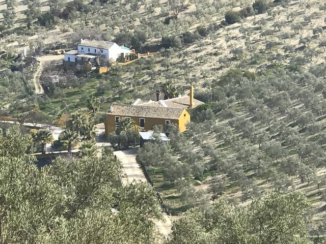 imagen 1 de Venta de finca con caserío y olivar en Osuna