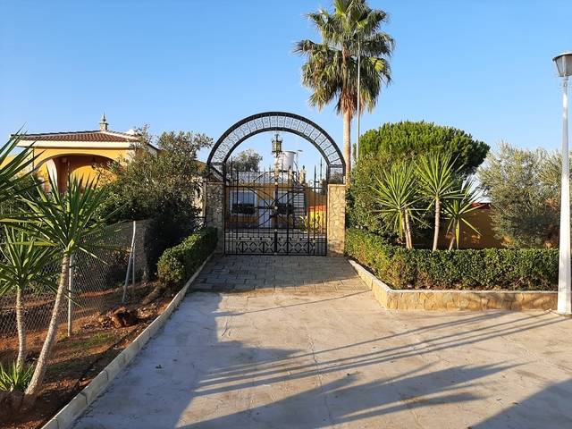 imagen 1 de Venta de bonita finca con chalet y plaza de toros en Utrera