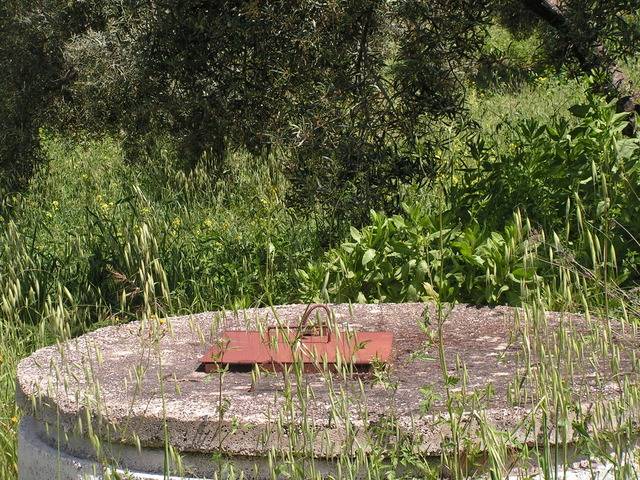 imagen 1 de Venta de finca de olivar en Pruna (Sevilla)