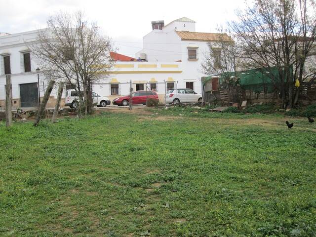 imagen 1 de Venta de finca de regadío bien comunicada en Carmona
