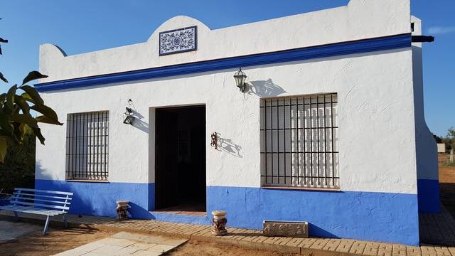 imagen 1 de Venta de parcela con casa y frutales en Pilas