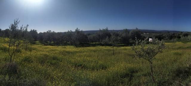 imagen 1 de Venta de finca con nave en El Pedroso
