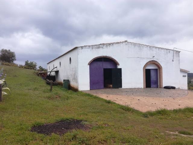 imagen 1 de Venta de finca con nave en Alanis (Sevilla)