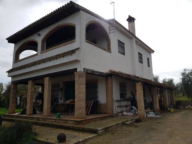 imagen 1 de Venta de finca con vivienda y piscina en Pilas