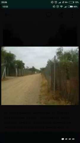 imagen 1 de Venta de olivar con riego en Pilas