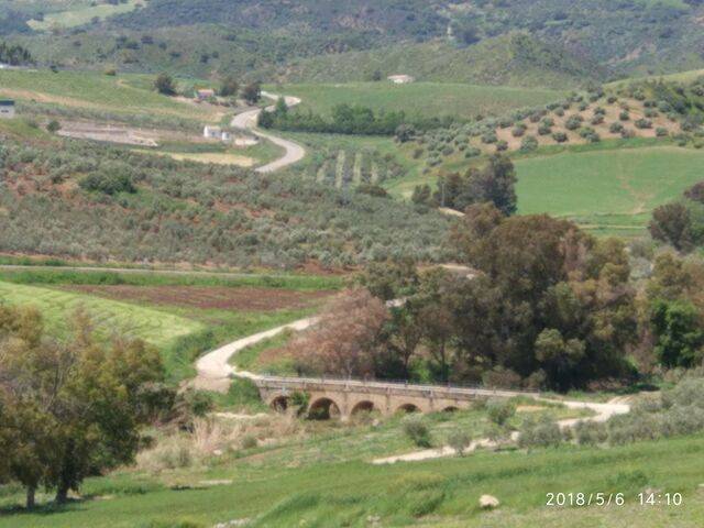 imagen 1 de Venta de finca con casa en plena naturaleza (Villanueva de San Juan)