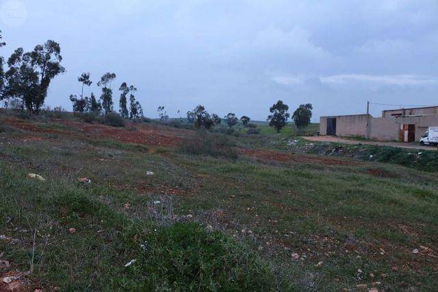 imagen 1 de Venta de finca ideal para caballos