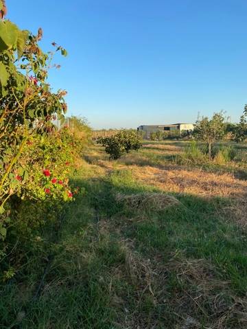 imagen 1 de Venta de parcela en Guillena (Sevilla)
