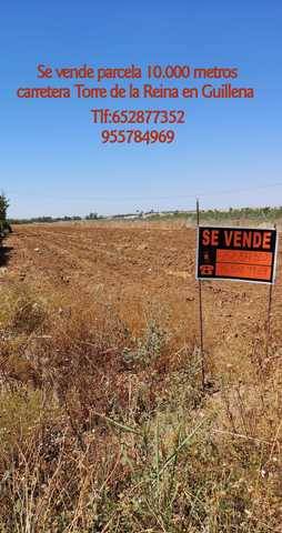 imagen 1 de Venta de terreno rústico en Guillena (Sevilla)