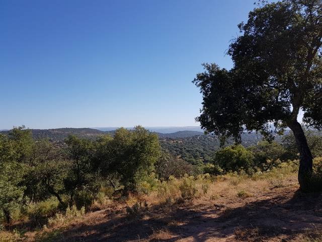 imagen 1 de Venta de finca para porcino en Castilblanco de los Arroyos