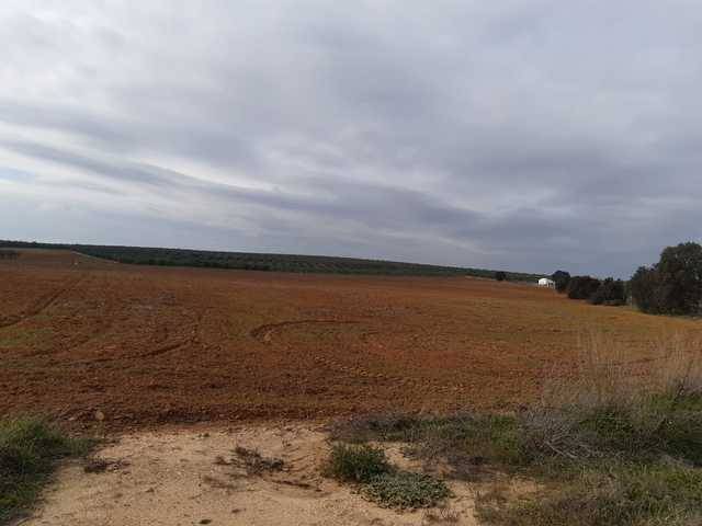 imagen 1 de Venta de finca rústica en Aznalcazar